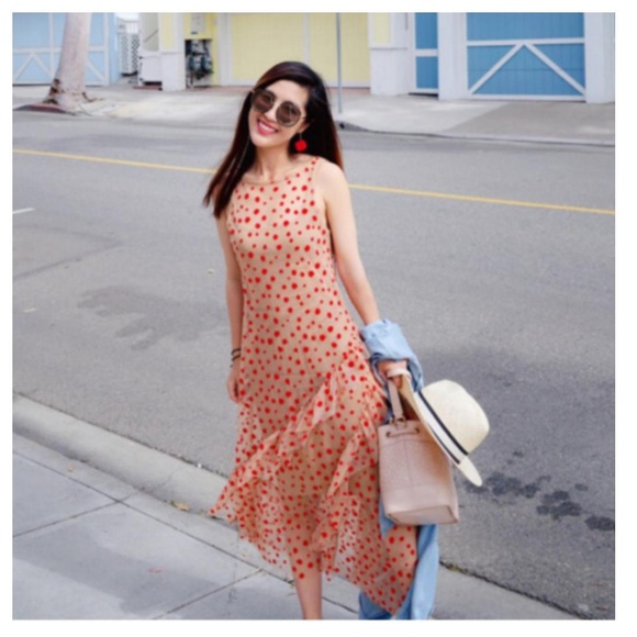 🎈LAST ONE! Zara sheer dress (0909) - Picture 3 of 8